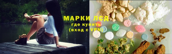 spice Бородино