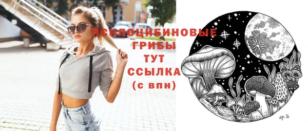 молекула духа Бронницы
