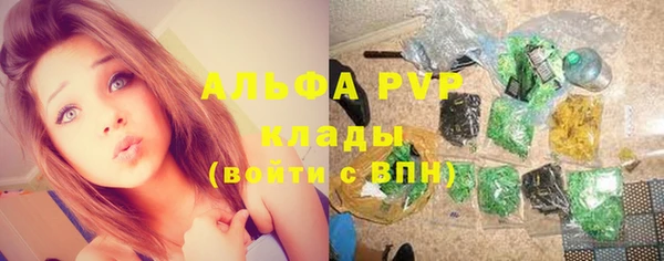 молекула духа Бронницы