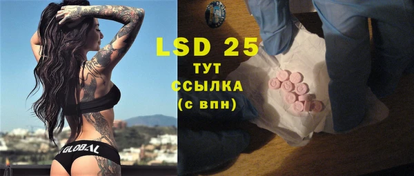spice Бородино